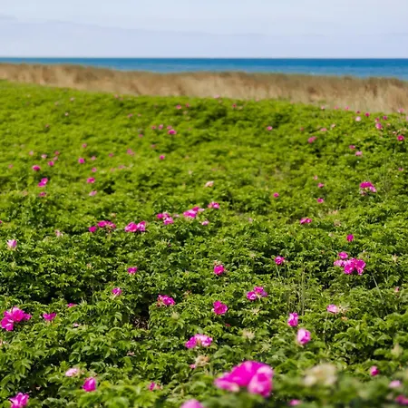 Апартаменты Der Stoertebeker - 